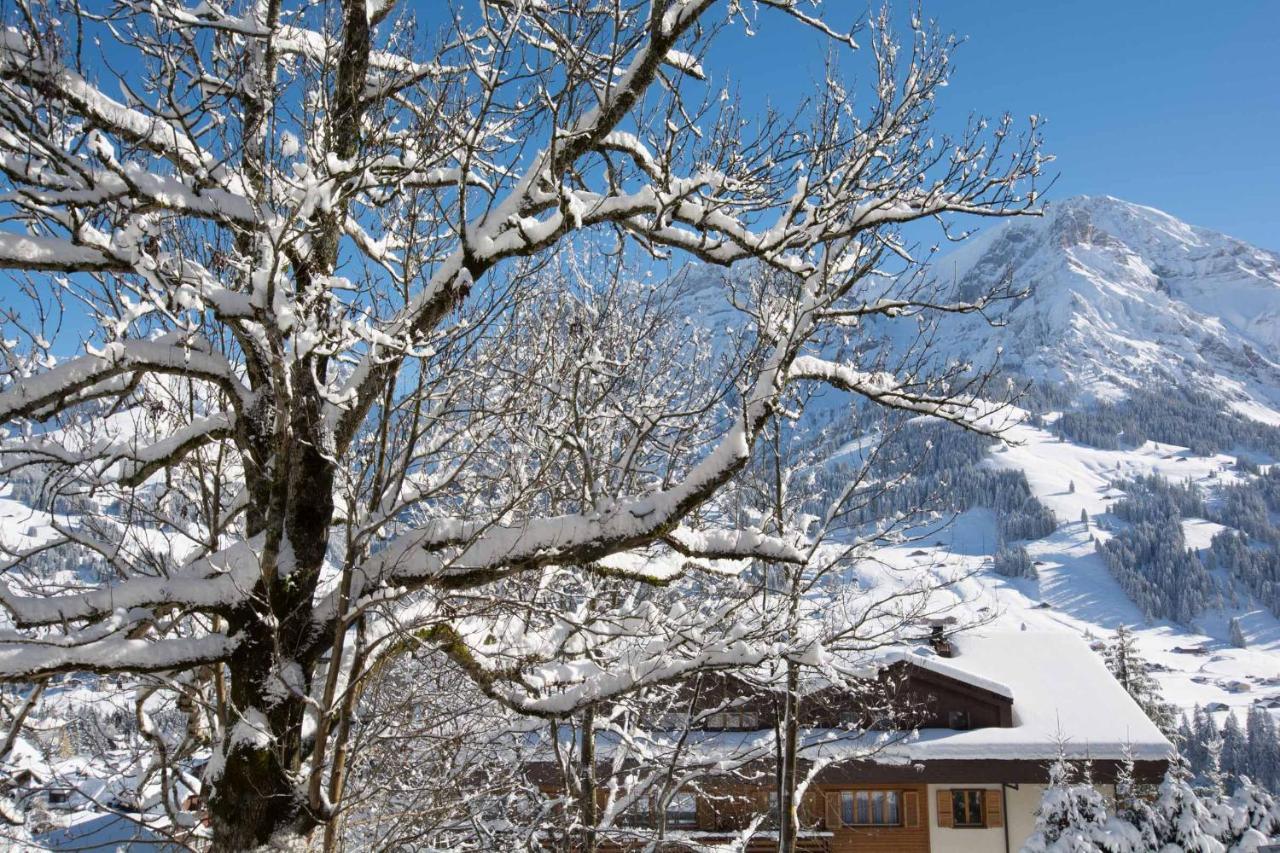 Ferienwohnung Senggi Adelboden Exterior photo